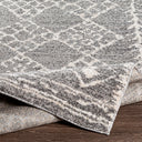 Andorra ARD-2308 Beige / Charcoal Rug
