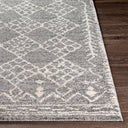 Andorra ARD-2308 Beige / Charcoal Rug