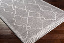 Andorra ARD-2309 Charcoal / Gray Rug