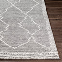 Andorra ARD-2309 Charcoal / Gray Rug