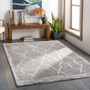 Andorra ARD-2309 Charcoal / Gray Rug