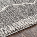 Andorra ARD-2309 Charcoal / Gray Rug