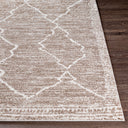 Andorra ARD-2310 Medium Brown / Off-White Rug