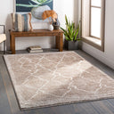 Andorra ARD-2310 Medium Brown / Off-White Rug