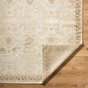 Agora ARG-2300 Rug