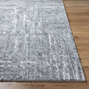 Andorra Plus ARP-2304 Charcoal / Light Gray Rug