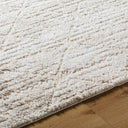 Andorra Plus ARP-2306 Ivory / Light Beige Rug