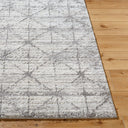 Andorra Plus ARP-2307 Black / Charcoal Rug