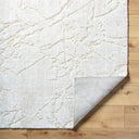 Andorra Plus ARP-2312 Ivory / Light Beige Rug