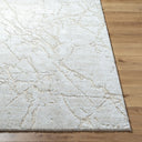 Andorra Plus ARP-2312 Ivory / Light Beige Rug