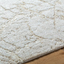 Andorra Plus ARP-2312 Ivory / Light Beige Rug