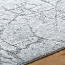 Andorra Plus ARP-2313 Black / Charcoal Rug