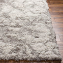 Alta Shag ASG-2302 Light Gray / Medium Gray Rug