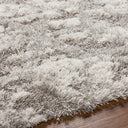 Alta Shag ASG-2302 Light Gray / Medium Gray Rug
