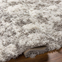 Alta Shag ASG-2305 Gray / Light Gray Rug