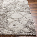 Alta Shag ASG-2305 Gray / Light Gray Rug