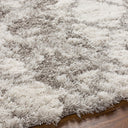 Alta Shag ASG-2305 Gray / Light Gray Rug