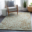Athena ATH-5058 Dark Brown / Sage Rug