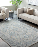Avellino AVL-2301 Deep Teal / Denim Rug