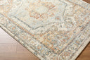 Avellino AVL-2302 Deep Teal / Gray Rug