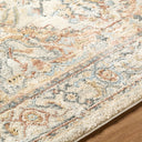 Avellino AVL-2302 Deep Teal / Gray Rug