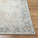 Avellino AVL-2309 Deep Teal / Gray Rug