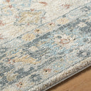 Avellino AVL-2309 Deep Teal / Gray Rug