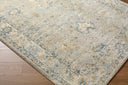 Avellino AVL-2310 Deep Teal / Denim Rug
