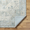 Avellino AVL-2314 Deep Teal / Denim Rug