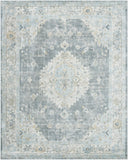 Avellino AVL-2315 Deep Teal / Denim Rug