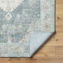Avellino AVL-2315 Deep Teal / Denim Rug