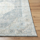 Avellino AVL-2315 Deep Teal / Denim Rug