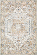 Avellino AVL-2318 Deep Teal / Gray Rug