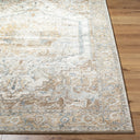 Avellino AVL-2318 Deep Teal / Gray Rug