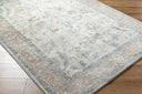Avellino AVL-2319 Deep Teal / Gray Rug