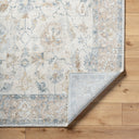 Avellino AVL-2319 Deep Teal / Gray Rug