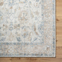 Avellino AVL-2319 Deep Teal / Gray Rug
