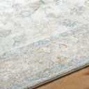 Avellino AVL-2319 Deep Teal / Gray Rug