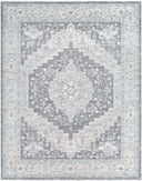 Avant Garde AVT-2300 Brown / Charcoal Rug