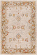Avant Garde AVT-2309 Charcoal / Denim Rug