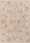 Avant Garde AVT-2310 Charcoal / Denim Rug