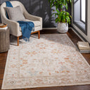 Avant Garde AVT-2311 Charcoal / Denim Rug