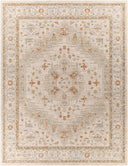Avant Garde AVT-2313 Charcoal / Denim Rug