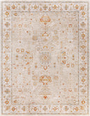 Avant Garde AVT-2319 Charcoal / Denim Rug