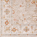 Avant Garde AVT-2319 Charcoal / Denim Rug