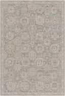 Avant Garde AVT-2335 Brown / Denim Rug