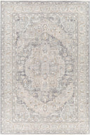 Avant Garde AVT-2337 Brown / Denim Rug