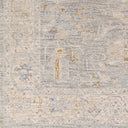 Avant Garde AVT-2339 Brown / Charcoal Rug