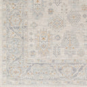 Avant Garde AVT-2342 Brown / Charcoal Rug