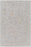 Avant Garde AVT-2343 Brown / Charcoal Rug